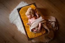 Loïc CHALMANDRIER - NEW VISION