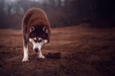 Julie ROUX - JULIE ROUX PHOTOGRAPHE